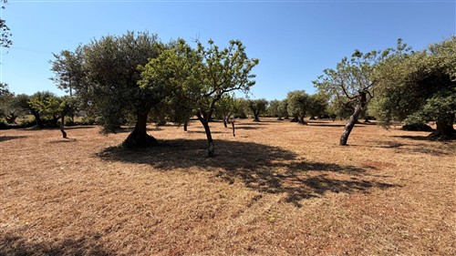 Fabbricato A Rustico Di Tre Vani & Acc., Antico Vano In Pietra E Veranda